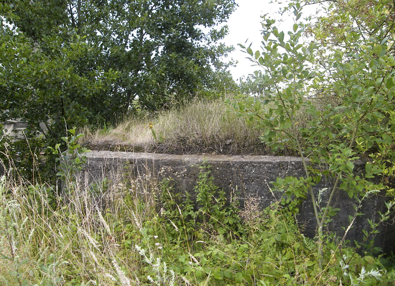 Ligne Maginot - 23A - FORGES DE BREVILLY - (Blockhaus pour arme infanterie) - 