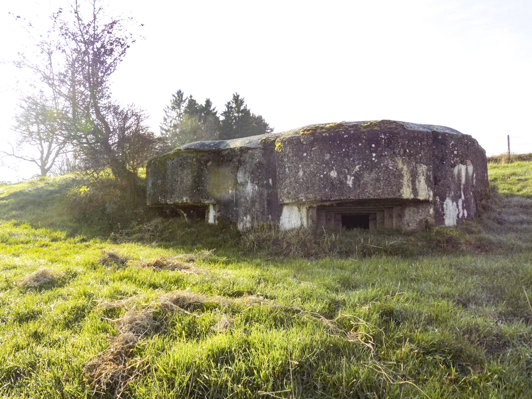 Ligne Maginot - 26D - GRAND HOUBLON - (Blockhaus pour canon) - 