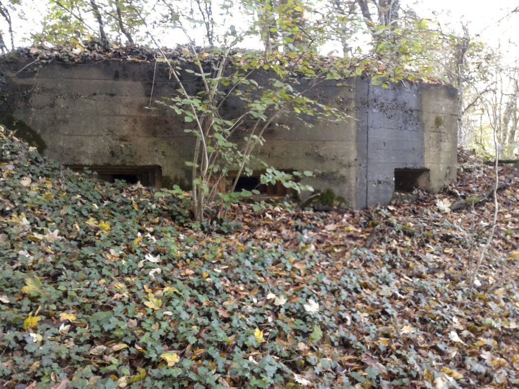 Ligne Maginot - 66TER - BOIS LE SART NORD - (Blockhaus pour arme infanterie) - Vue extérieure des trois créneaux