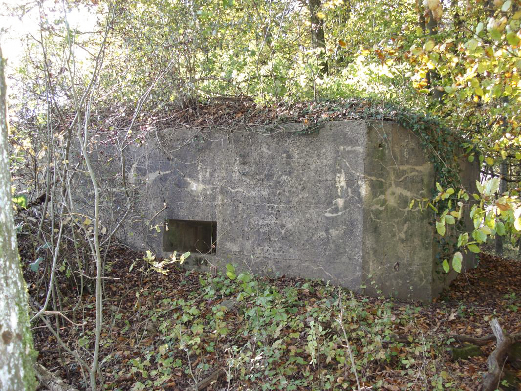 Ligne Maginot - 75 - LE MAMELON EST - (Blockhaus pour arme infanterie) - 