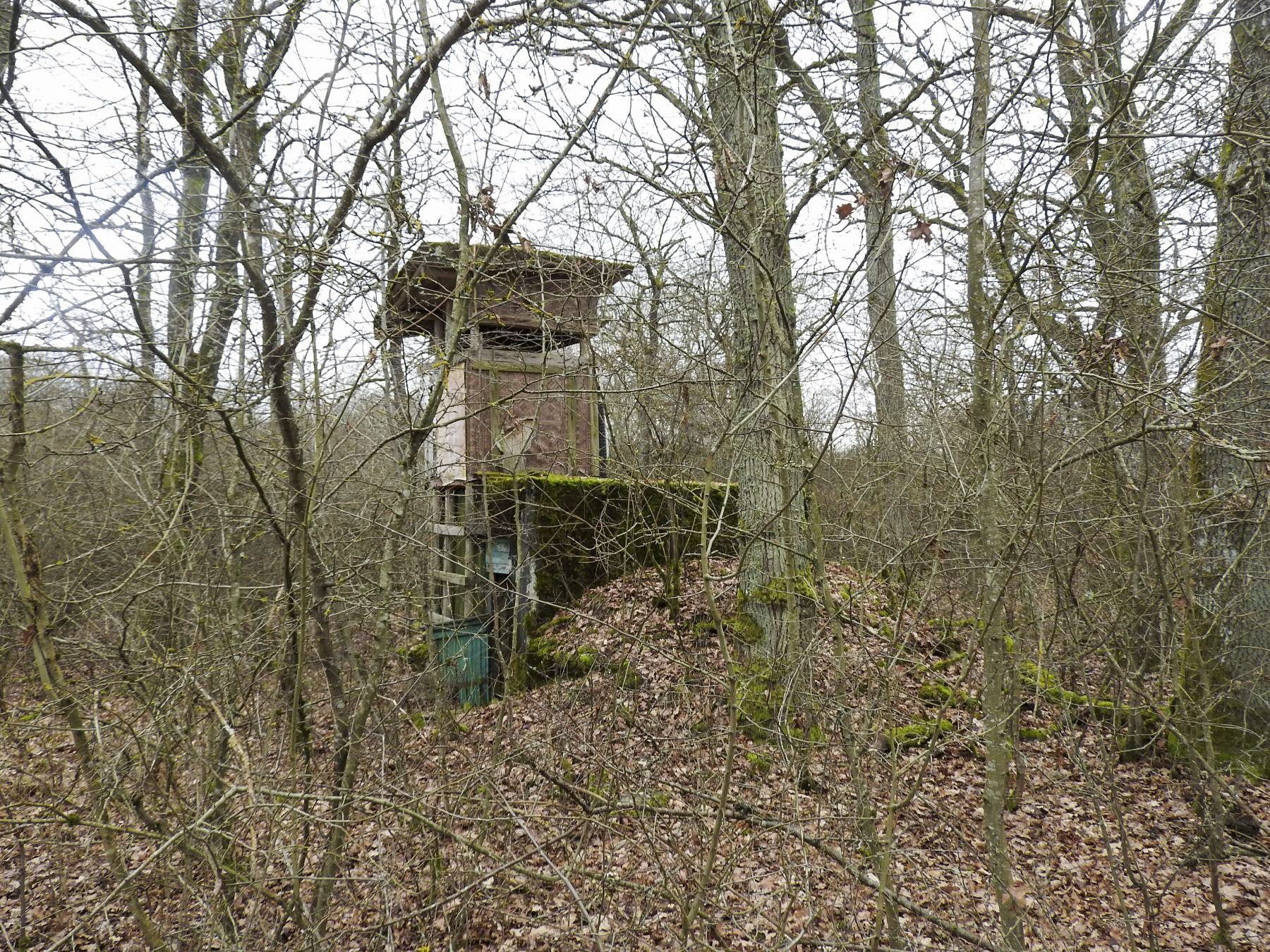 Ligne Maginot - SCHEIDE 3 - (Abri) - Le blockhaus sert de support à un mirador de chasse.