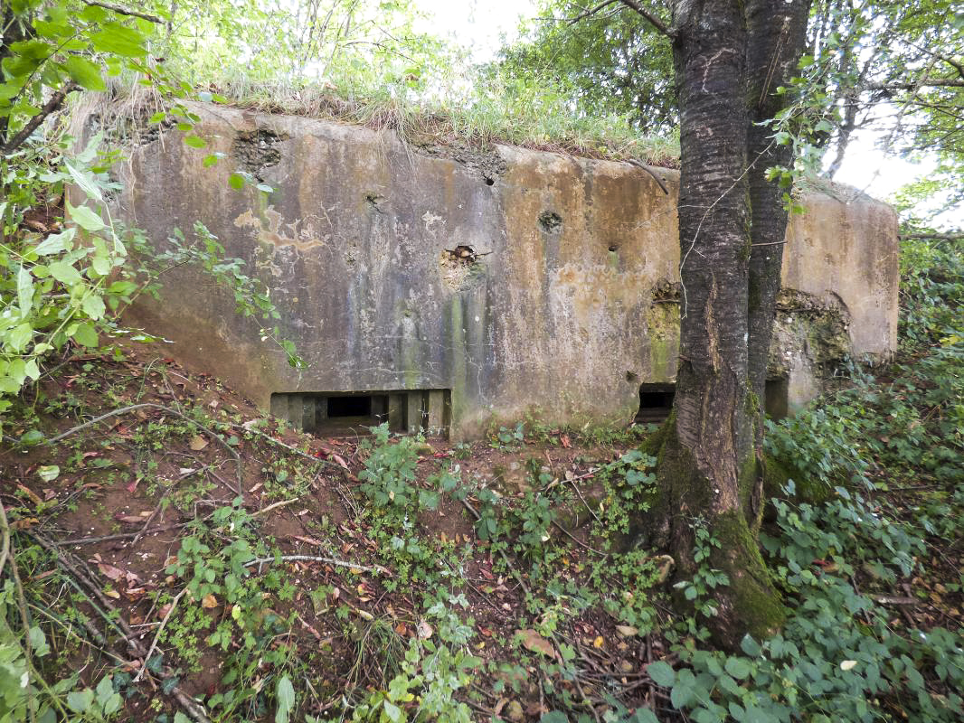 Ligne Maginot - 78BIS - LE TERME - (Blockhaus pour arme infanterie) - 