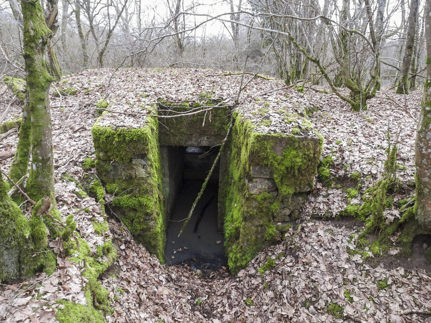 Ligne Maginot - SCHEIDE 5 - (Blockhaus pour arme infanterie) - L'entrée du blockhaus.
