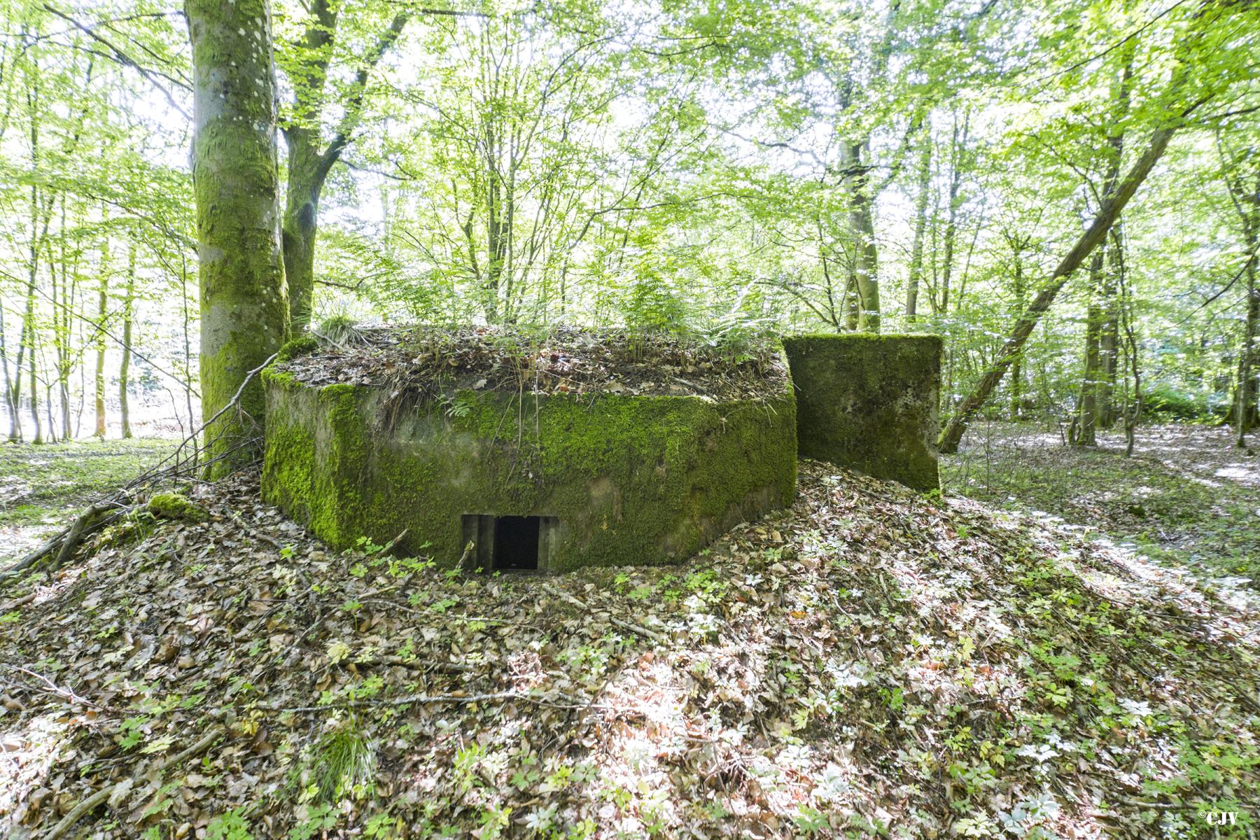 Ligne Maginot - SCHEIDWALD 3 - (Blockhaus pour arme infanterie) -                           