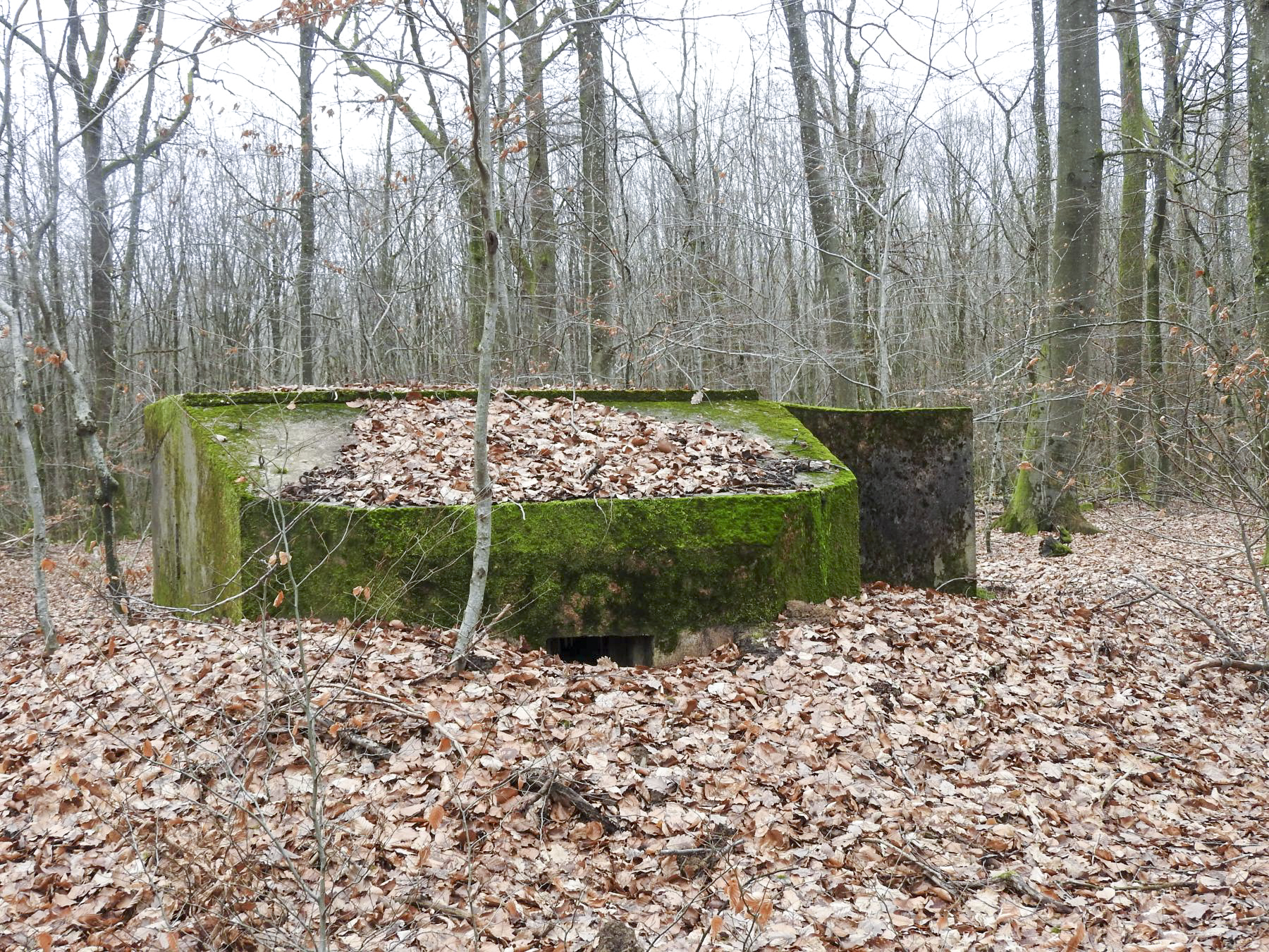 Ligne Maginot - SCHEIDWALD 7 - (Blockhaus pour arme infanterie) - La façade de tir.