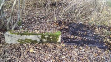 Ligne Maginot - BOIS DE DURRENENTZEN - (Dépôt de Munitions) - Restes de fondations du dépôt de munitions