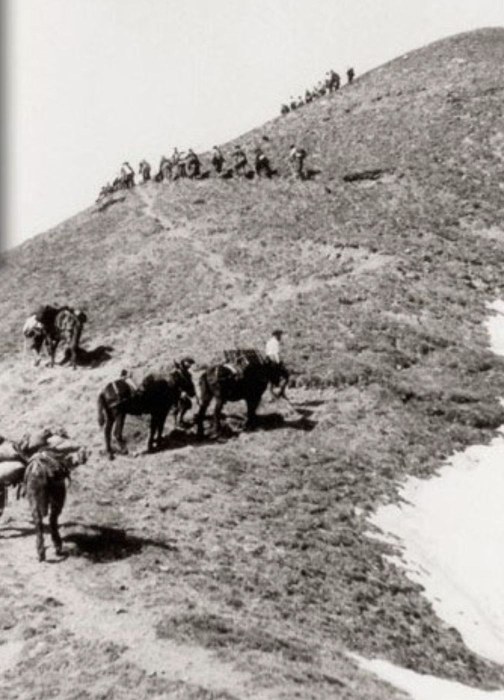 299° Régiment d'Infanterie Alpine (299° RIA) 