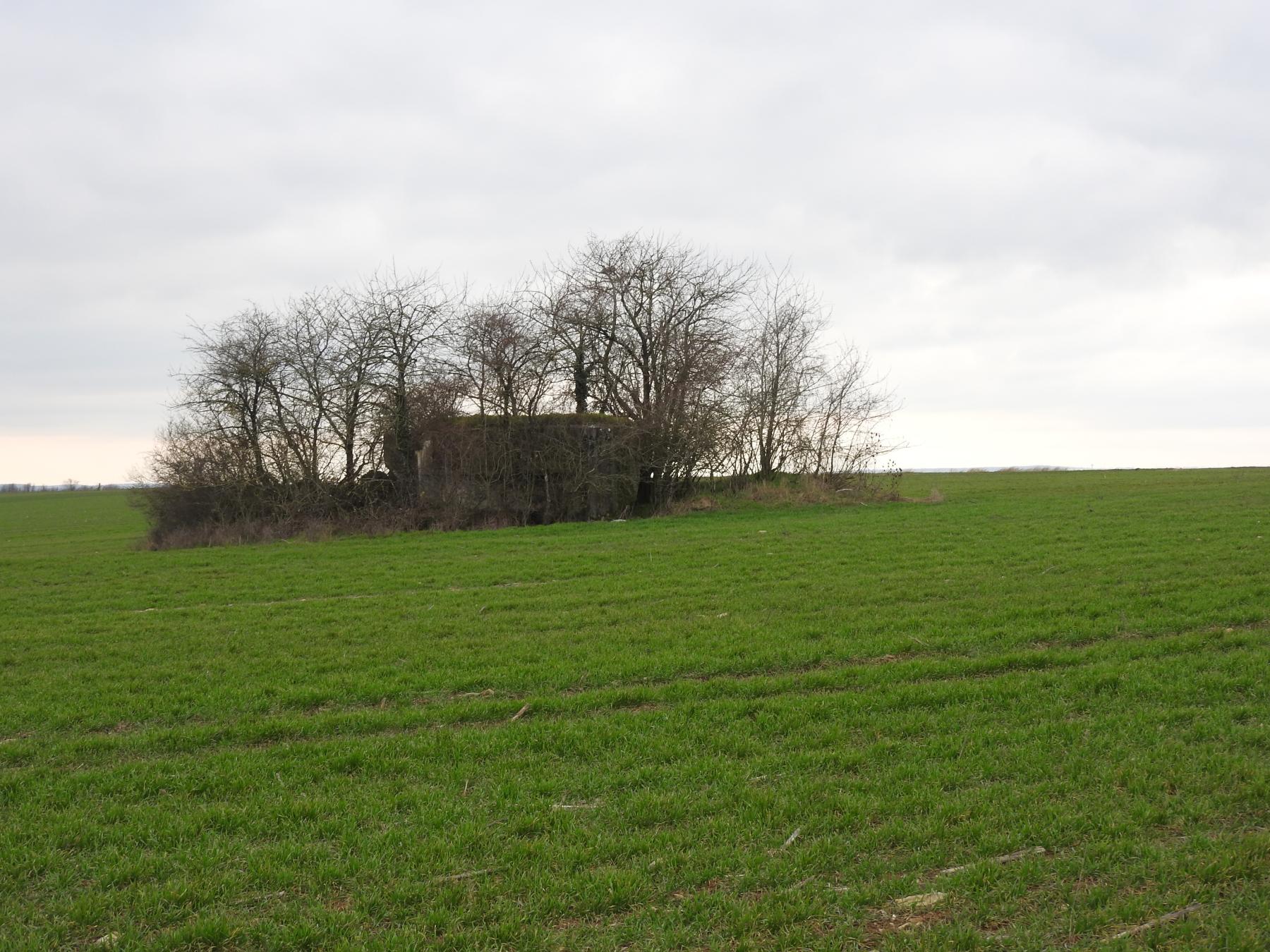 Ligne Maginot - BLANKHECK - (Blockhaus pour arme infanterie) - Le blockhaus se trouve au milieu d'un champ.