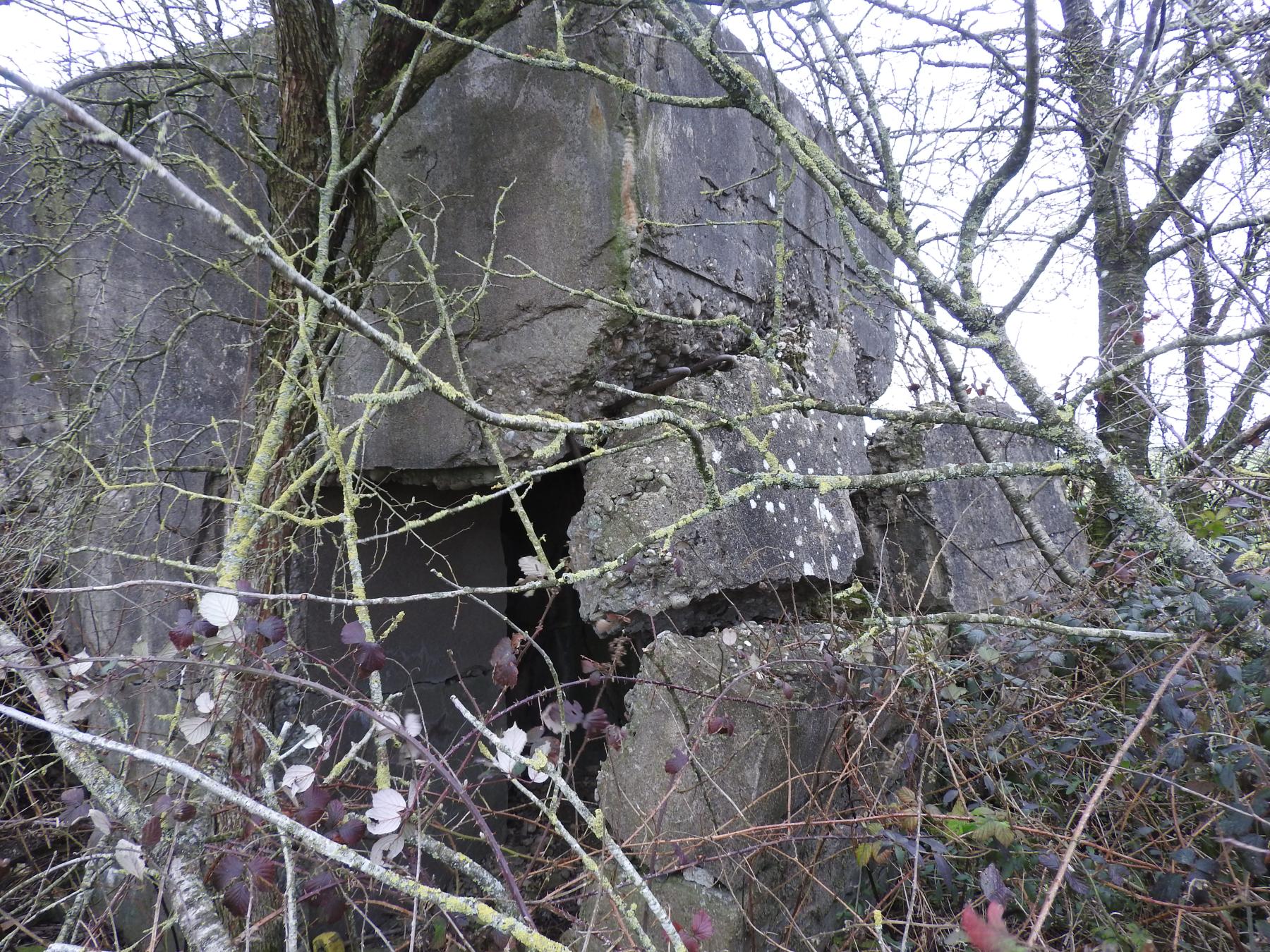 Ligne Maginot - BLANKHECK - (Blockhaus pour arme infanterie) - L'entrée est aussi en partie détruite.