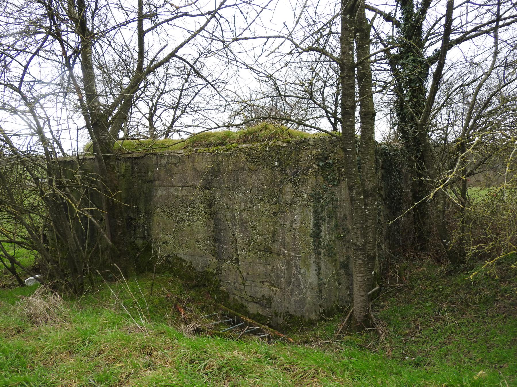 Ligne Maginot - BLANKHECK - (Blockhaus pour arme infanterie) - Le côté nord du blockhaus.