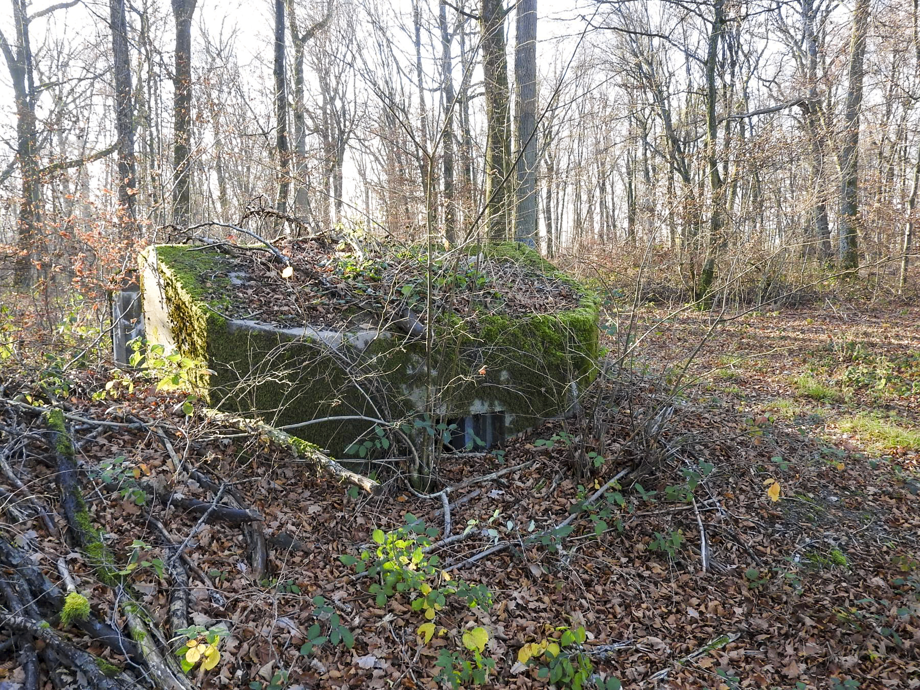 Ligne Maginot - SCHIRMENSTUDEN 6 - (Blockhaus pour arme infanterie) - La façade de tir.