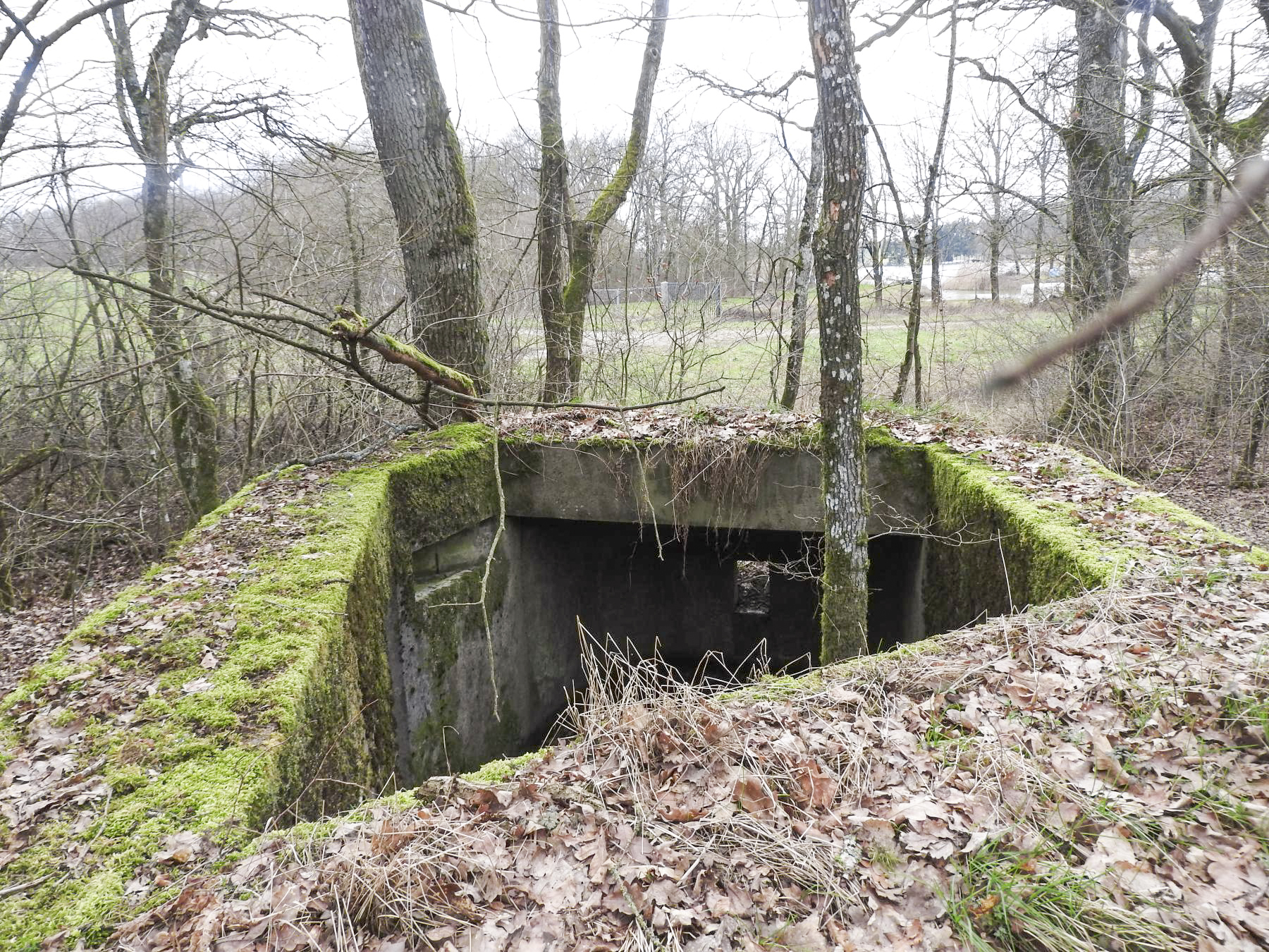 Ligne Maginot - SCHIRMENSTUDEN 8 - (Blockhaus pour arme infanterie) - Une vue du dessus du blockhaus.