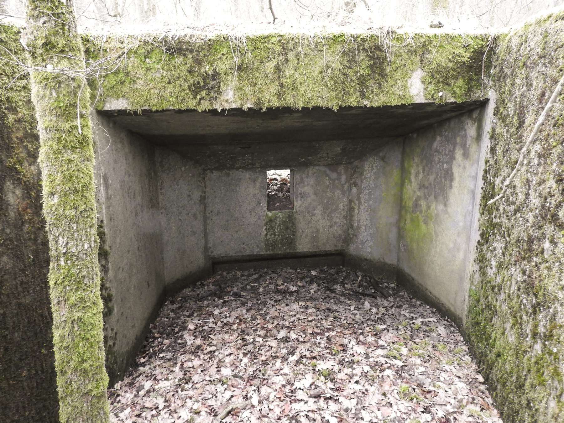 Ligne Maginot - SCHIRMENSTUDEN 8 - (Blockhaus pour arme infanterie) - La chambre de tir vers l'Est.