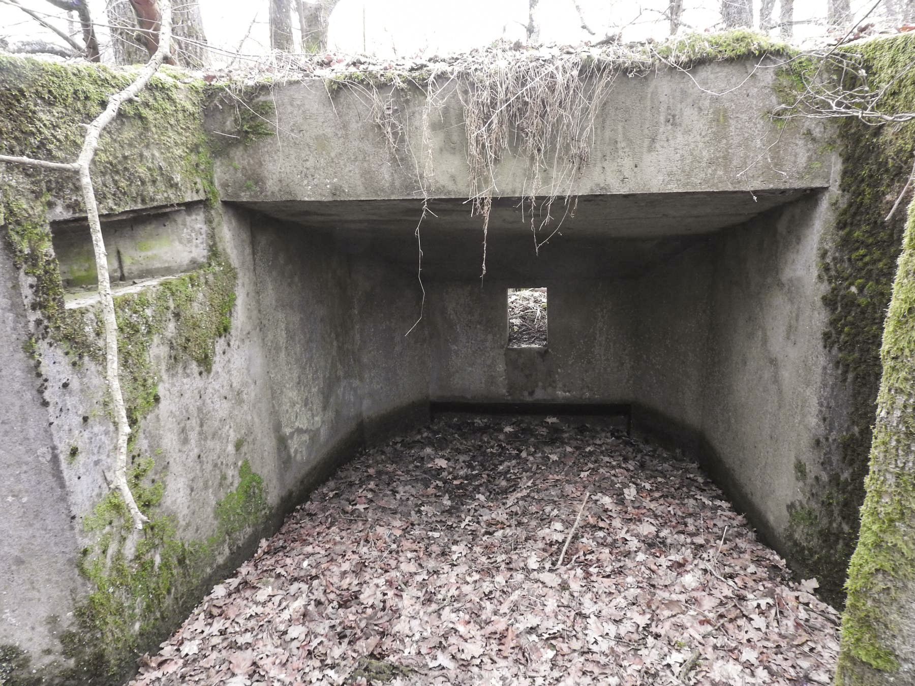 Ligne Maginot - SCHIRMENSTUDEN 8 - (Blockhaus pour arme infanterie) - La chambre de tir vers l'Ouest avec à gauche un créneau de défense vers l'arrière.