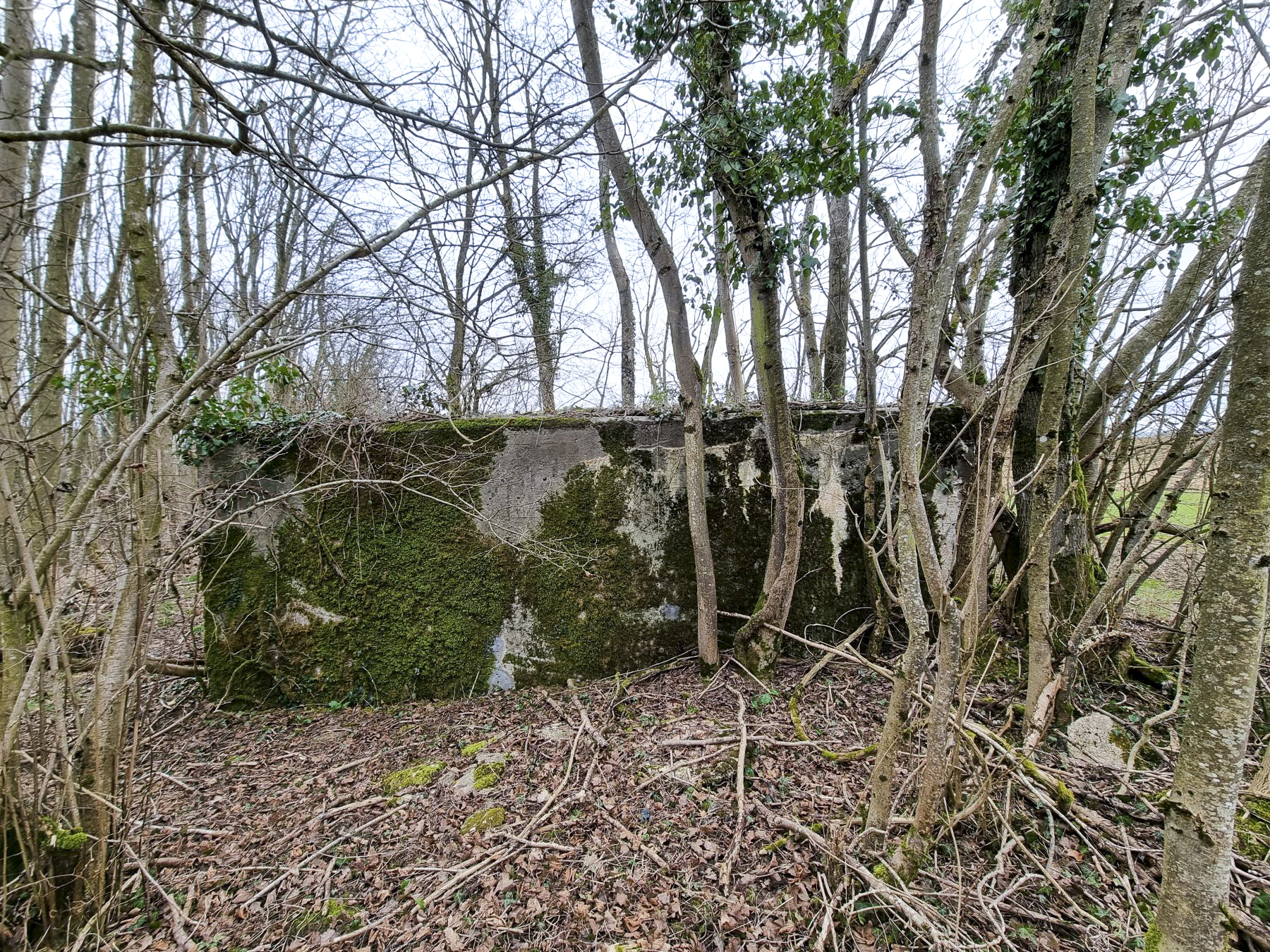 Ligne Maginot - BOIS DE PONTPIERRE NORD - (Blockhaus pour arme infanterie) - Mur latéral droit du blockhaus 