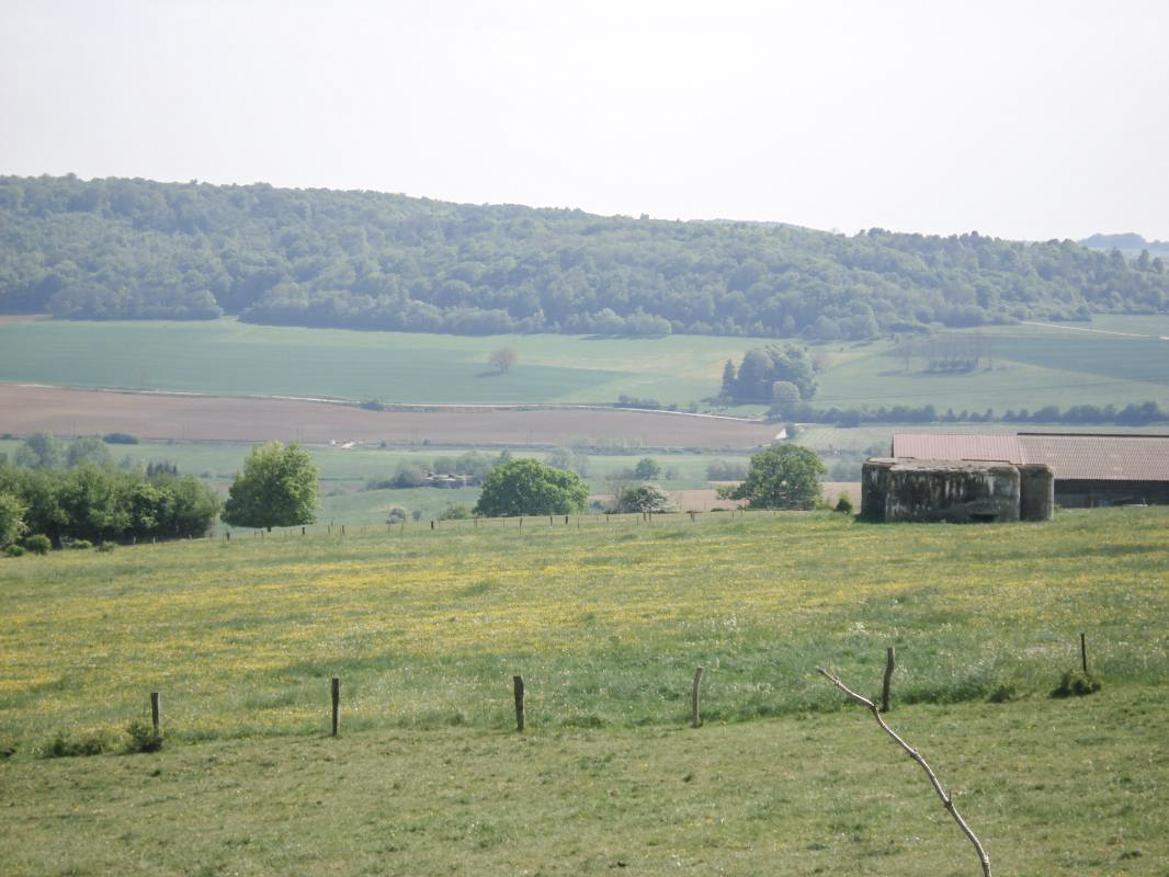Ligne Maginot - FRESNOIS - (Casemate d'infanterie - Double) - Vers le sud, My12 avec la casemate de St Antoine à l'arrière plan