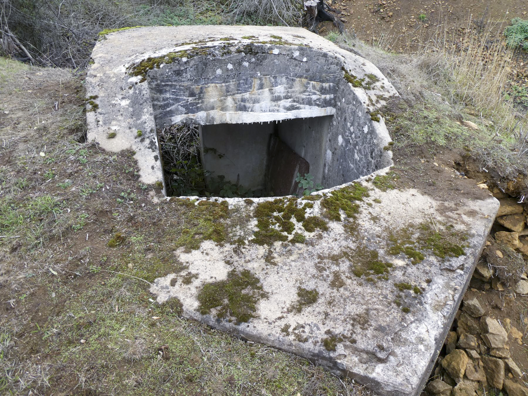 Ligne Maginot - SAINT WALFROY NORD-EST - (Observatoire d'infanterie) - 