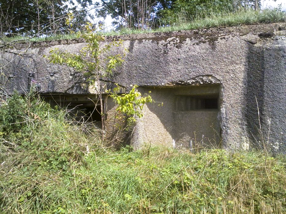 Ligne Maginot - MB9 - HARNEVAUX - (Blockhaus pour canon) - Ouvrage en plein champ.
Les créneau de tir