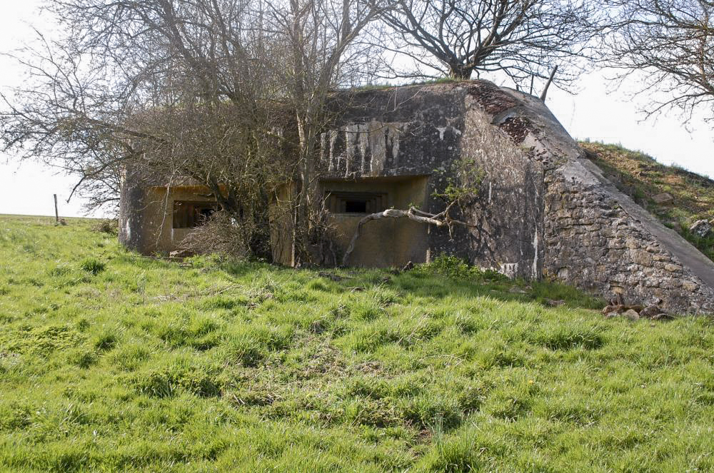 Ligne Maginot - MB14 - (Blockhaus pour canon) - Situé en plein champ au bas de la commune de Petit Xivry l'ouvrage est entouré d'une nature envahissante.