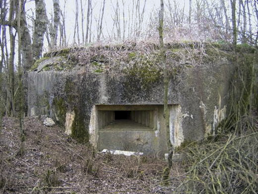 Ligne Maginot - MB29 - (Blockhaus pour arme infanterie) - 