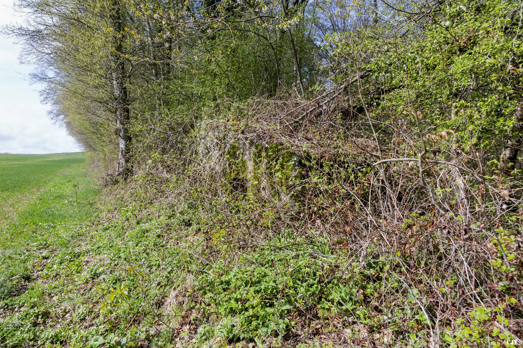 Ligne Maginot - MBA1 - (Blockhaus pour arme infanterie) - Couvert de végétation 