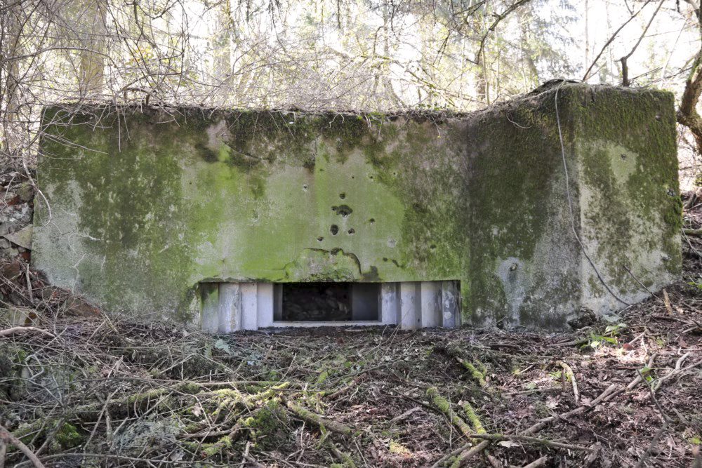 Ligne Maginot - GRAIBFELD EST 2 - (Blockhaus pour canon) - 