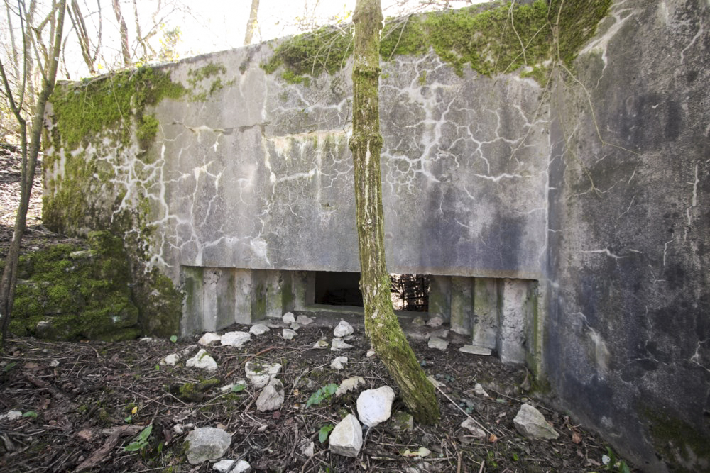 Ligne Maginot - GRAIBFELD  OUEST - (Blockhaus pour canon) -  