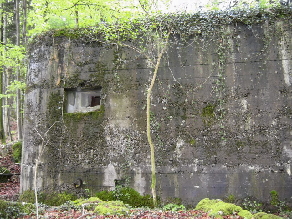 Ligne Maginot - BLOCHMONT EST - (Blockhaus pour arme infanterie) - Embrasure pour FM frontale