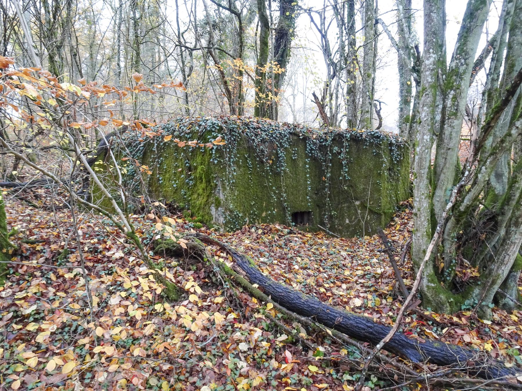 Ligne Maginot - CB335 - BOIS DE LA FANK - (Blockhaus pour arme infanterie) - 