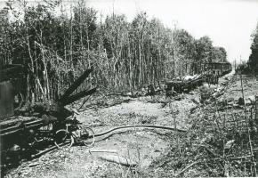 Ligne Maginot - 373° Régiment d'Artillerie Lourde sur Voie Ferrée (373° RALVF) - Train ALVF détruit près de Altenach (68).
Probablement un convoi du 373° RALVF en place dans ce secteur