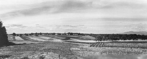 Ligne Maginot - 93 - RANSPACH NORD - (Casemate d'infanterie - Double) - Vue des champs de rails autour de la casemate
Vers le nord