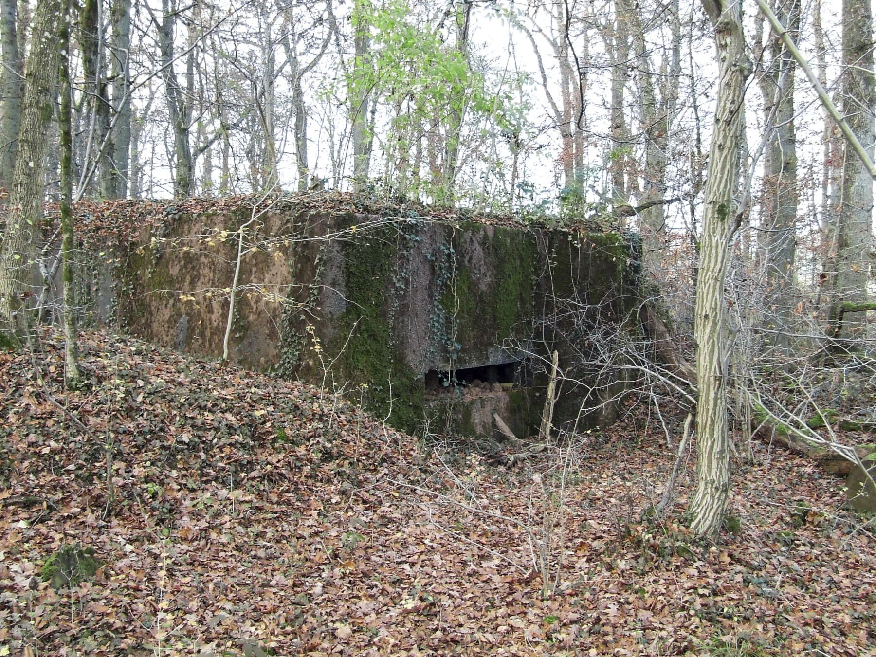 Ligne Maginot - STOCKEN 3 - (Blockhaus pour canon) - 