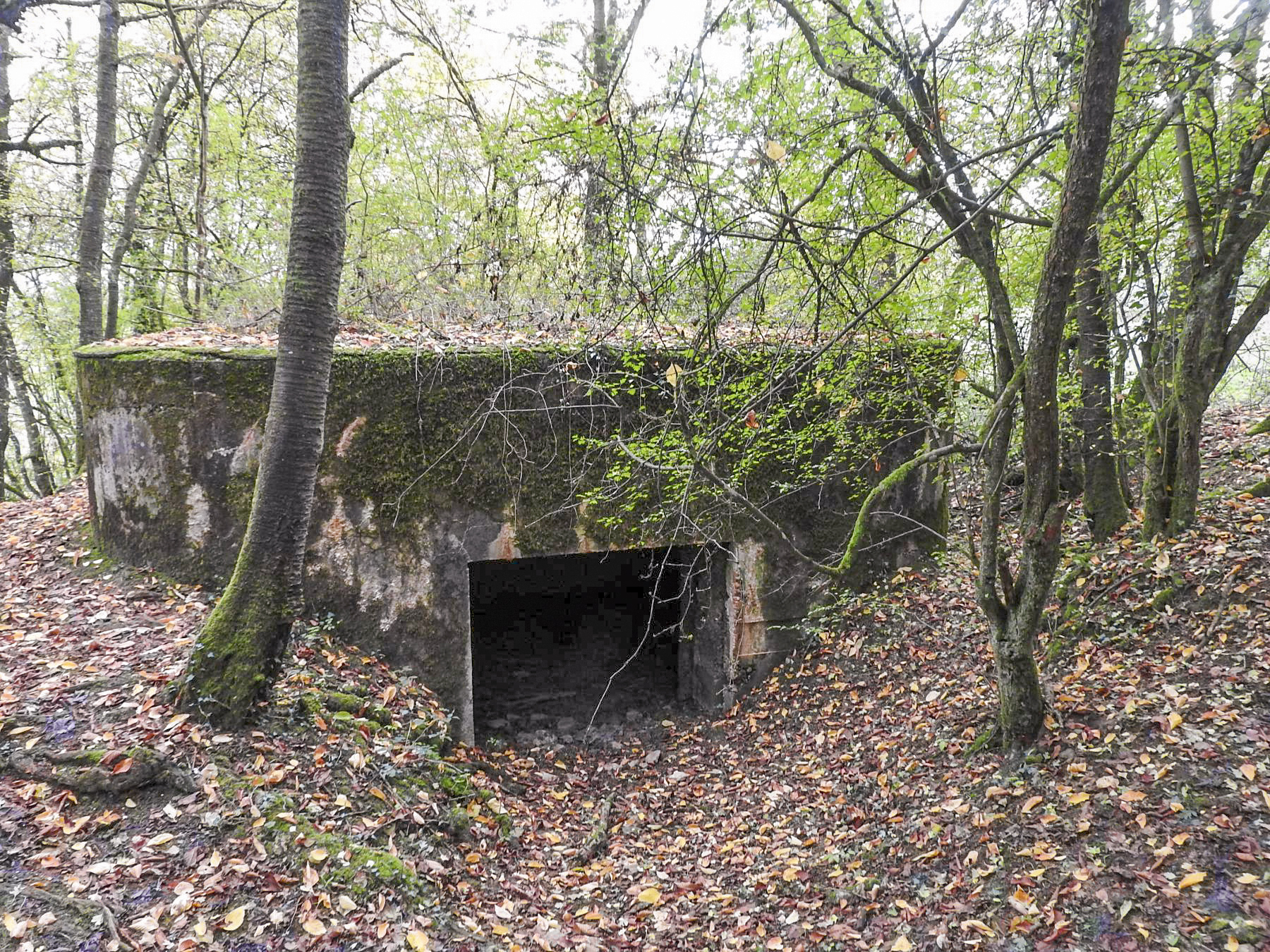 Ligne Maginot - WELSCHBRUCH SUD - (Blockhaus pour canon) - L'entrée du blockhaus