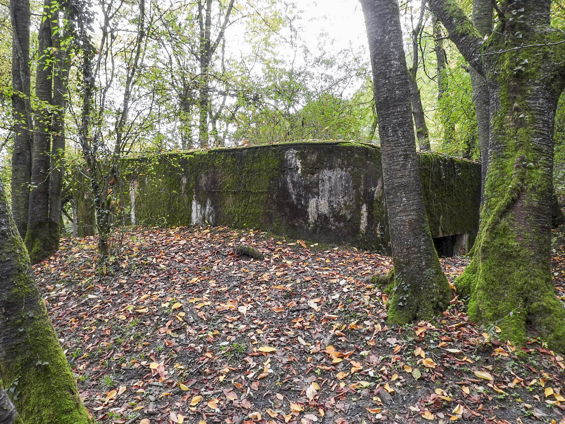 Ligne Maginot - WELSCHBRUCH SUD - (Blockhaus pour canon) - 