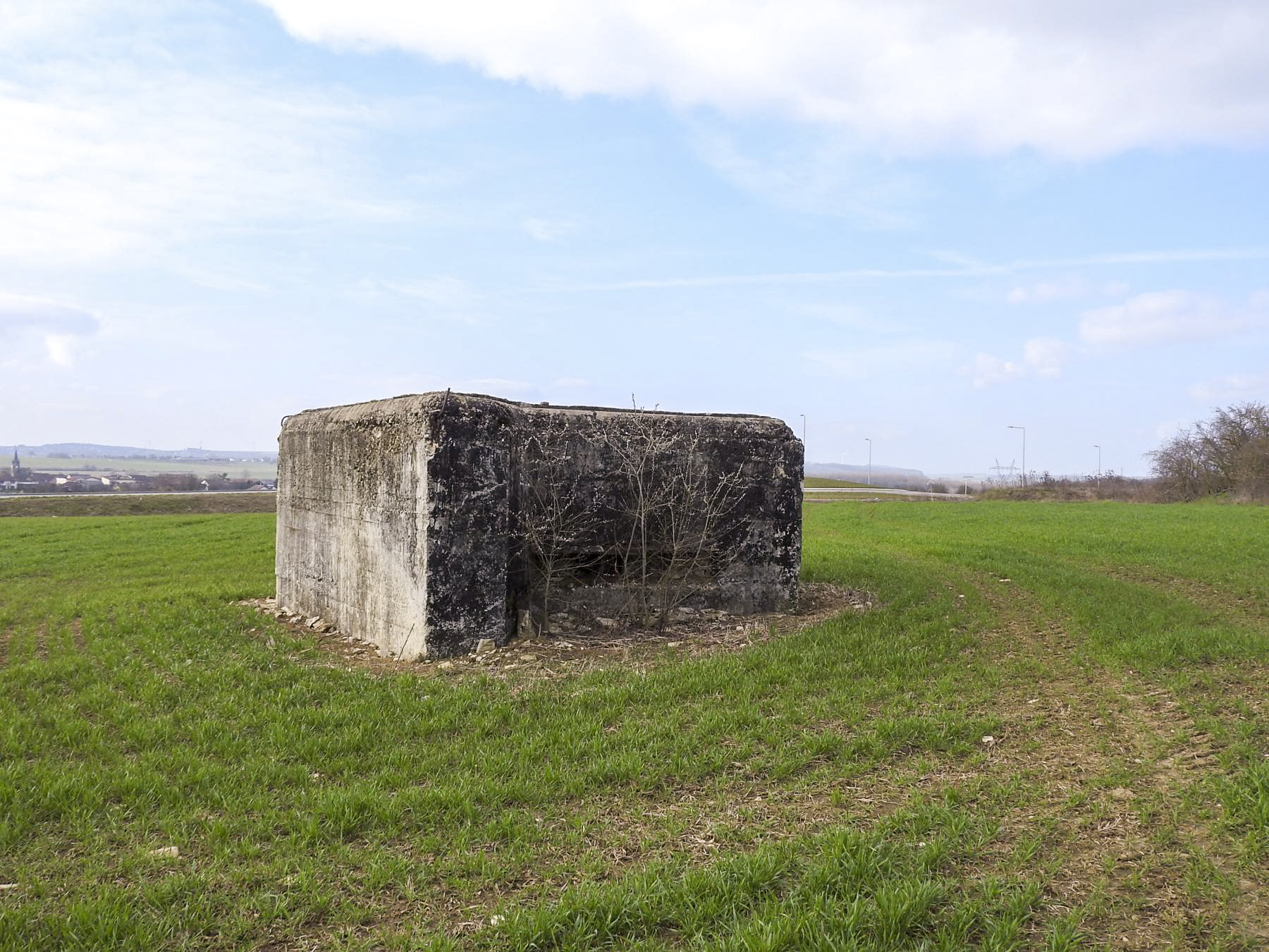Ligne Maginot - HASENBERG 2 - (Blockhaus pour arme infanterie) - La façade de tir