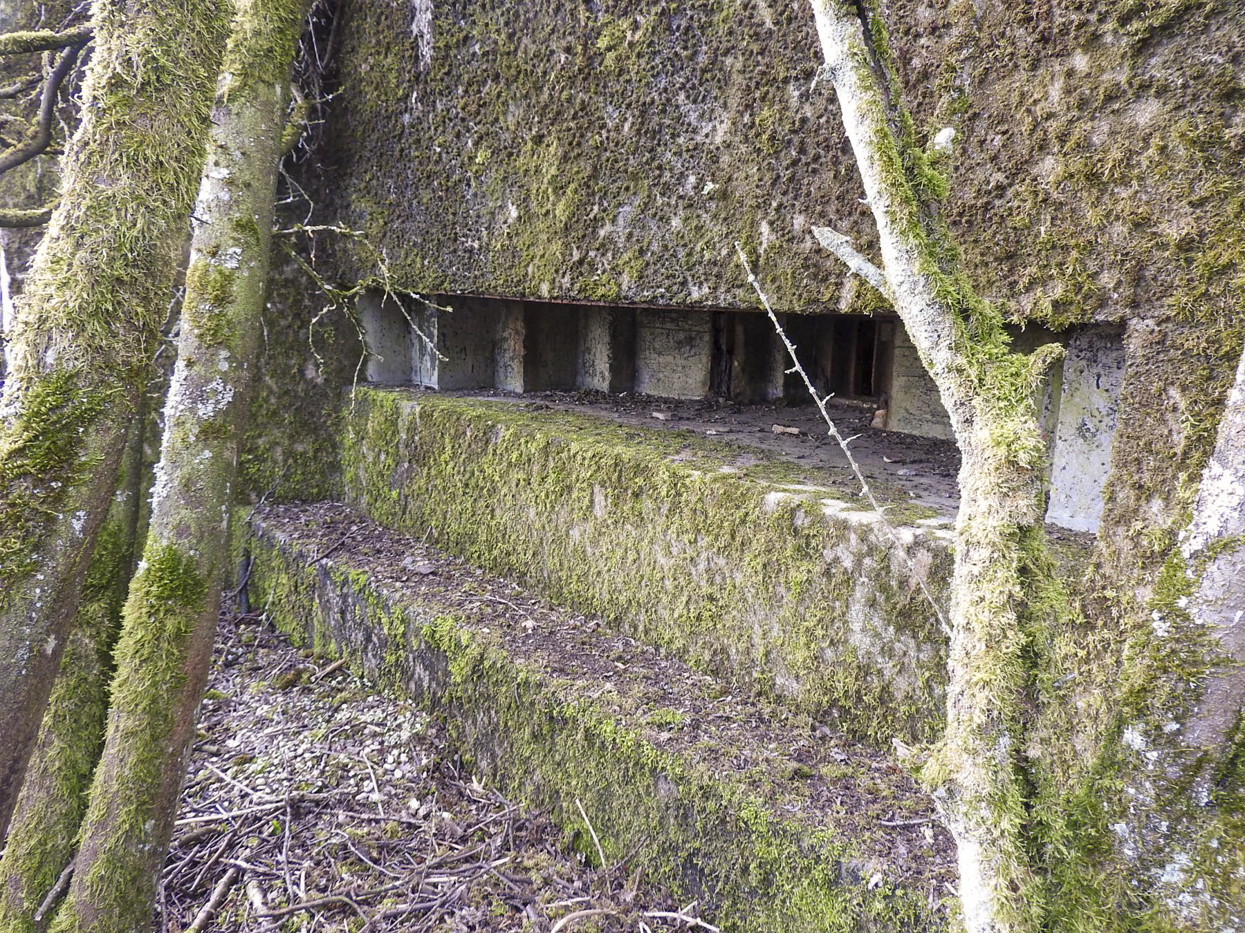 Ligne Maginot - LUTERSBERG 2 - (Blockhaus pour arme infanterie) - L'embrasure pour mitrailleuse