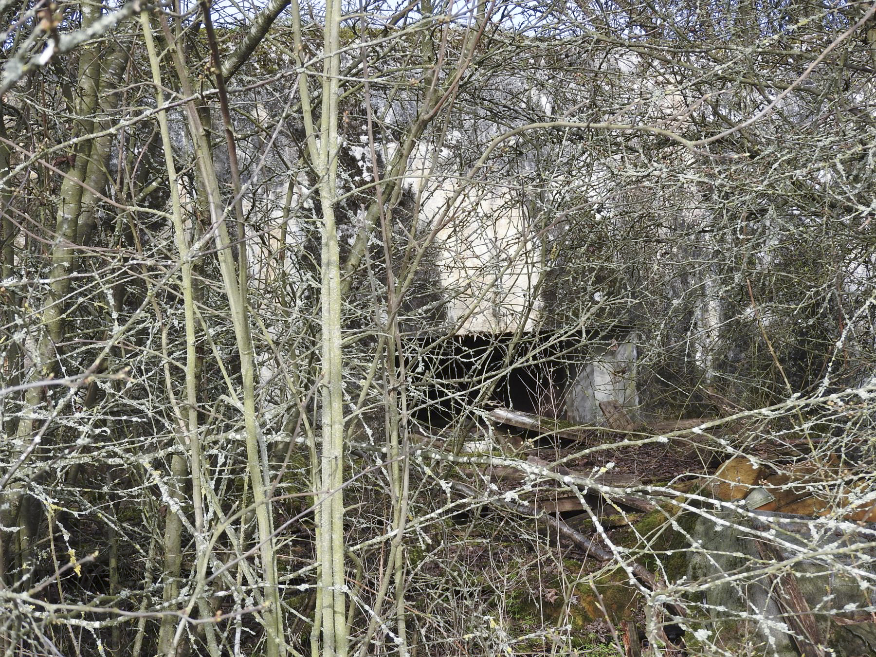 Ligne Maginot - PONTPIERRE NORD 2 - (Blockhaus pour arme infanterie) - La façade de tir à peine visible dans la broussaille.