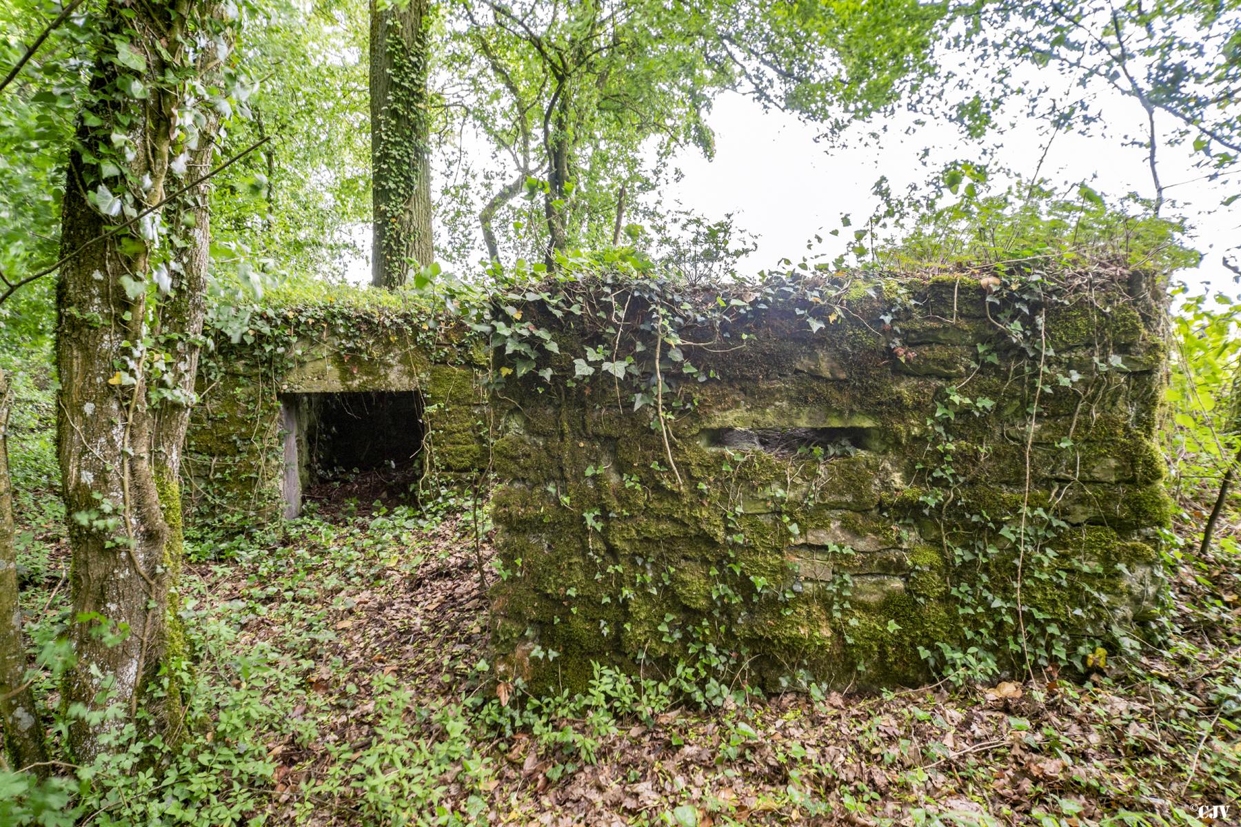 Ligne Maginot - ROUTE DE L'HIMERTEN SUD - (Blockhaus pour arme infanterie) - 