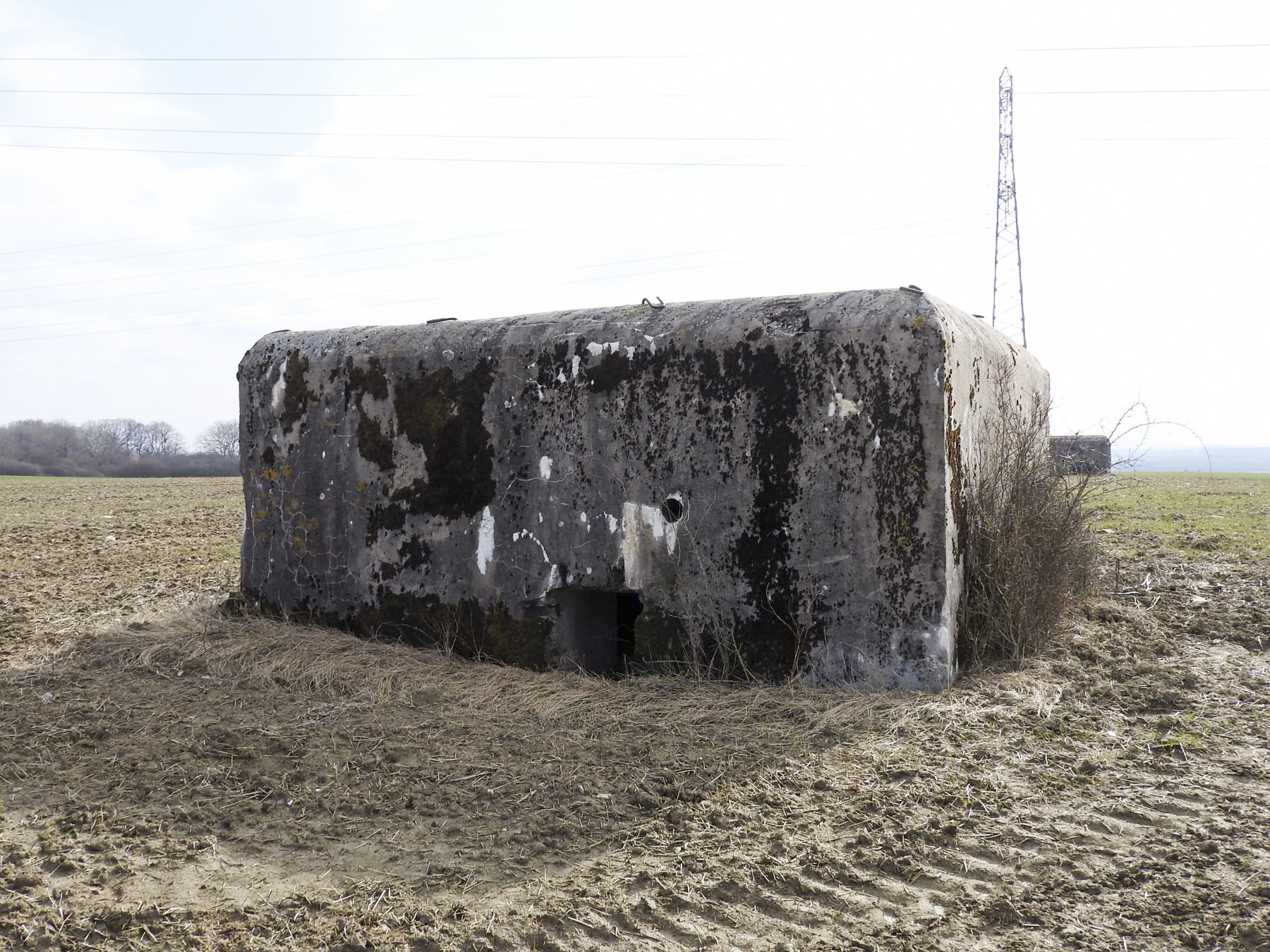 Ligne Maginot - WAELDSCHEN 1 - (Blockhaus pour arme infanterie) - La façade arrière avec l'entrée en partie remblayée