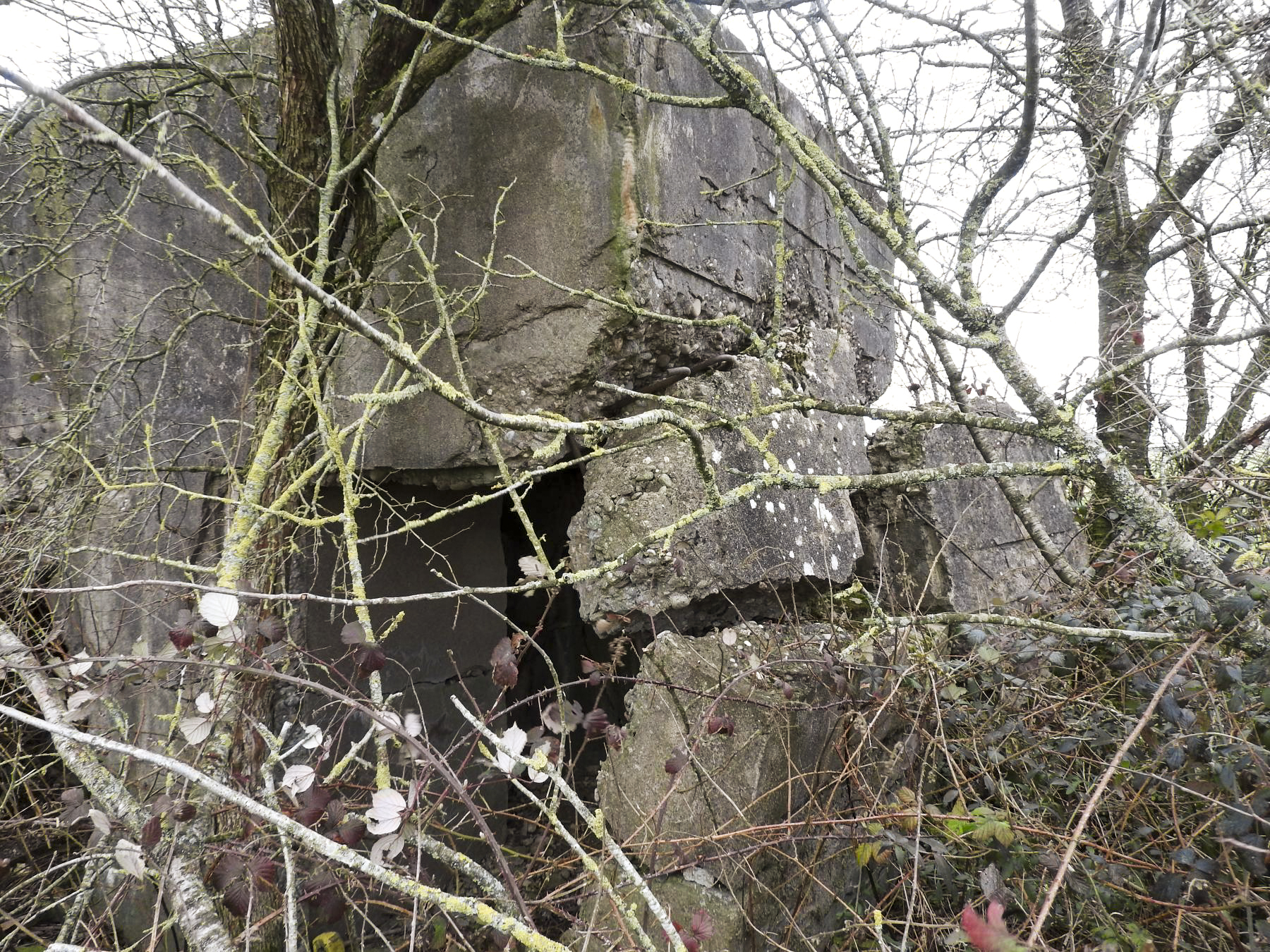 Ligne Maginot - BLANKHECK - (Blockhaus pour arme infanterie) - L'entrée est aussi en partie détruite.