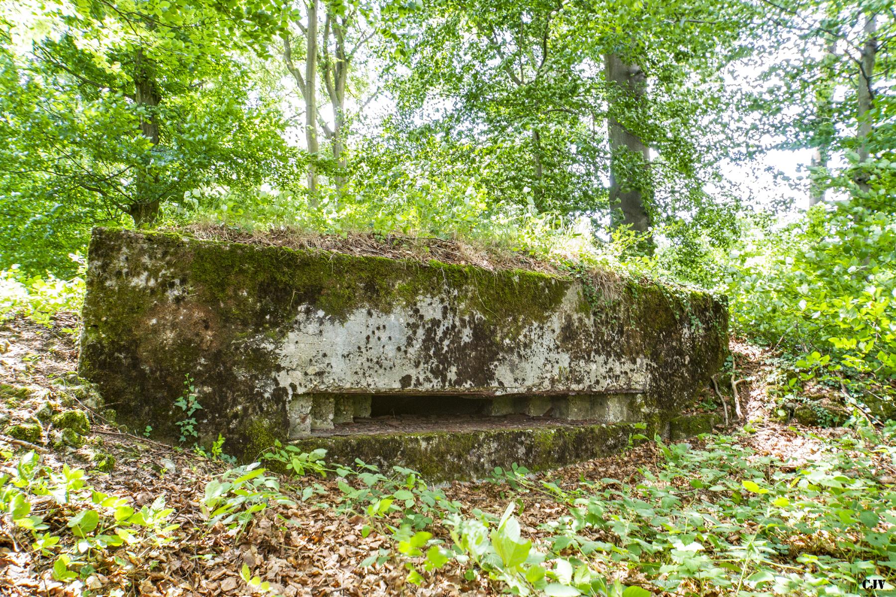 Ligne Maginot - BUCHENHUEBEL 4 - (Observatoire d'infanterie) - 