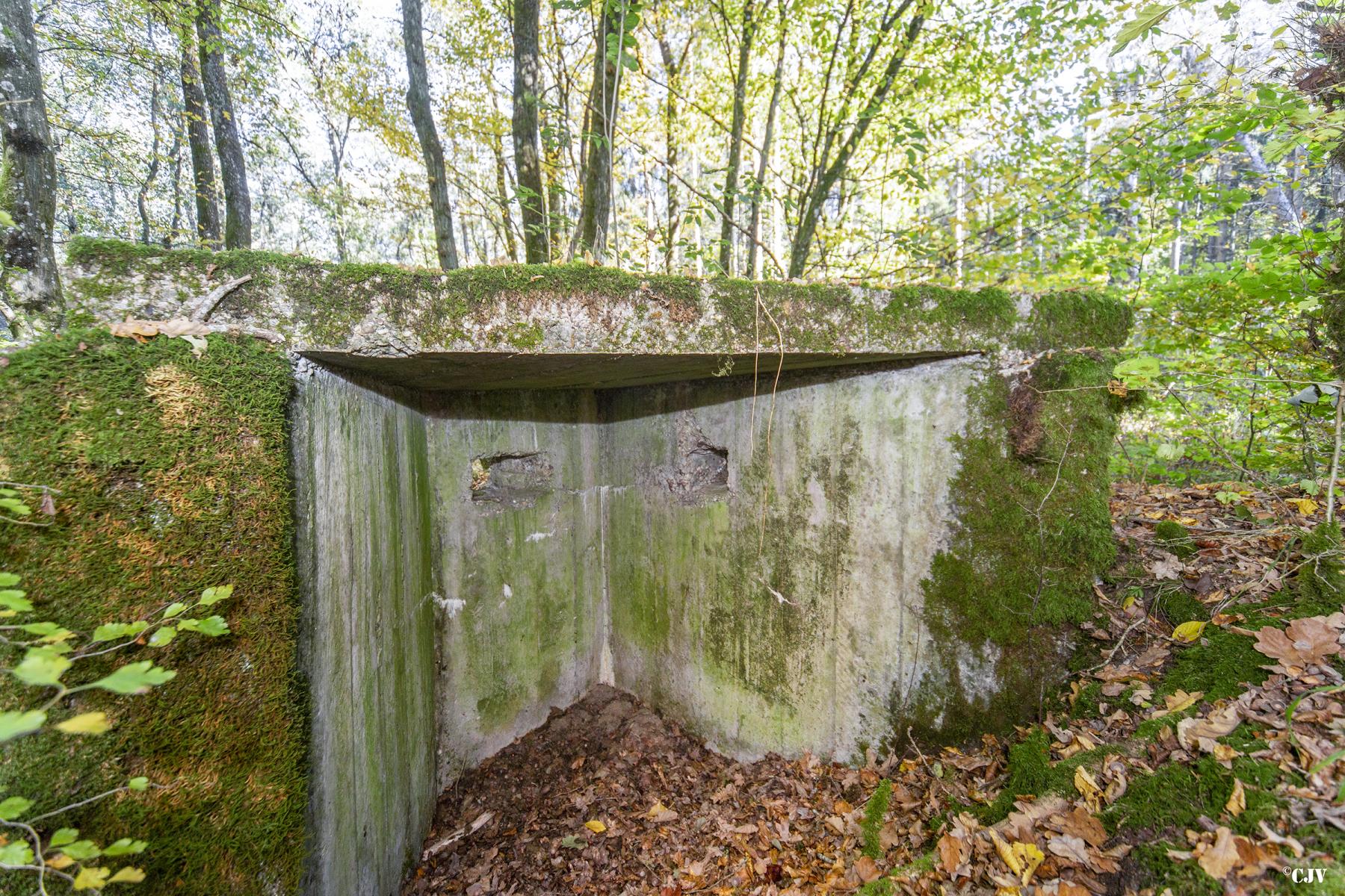 Ligne Maginot - HENRIVILLE 4 (AVANT POSTE) - (Blockhaus pour arme infanterie) - 