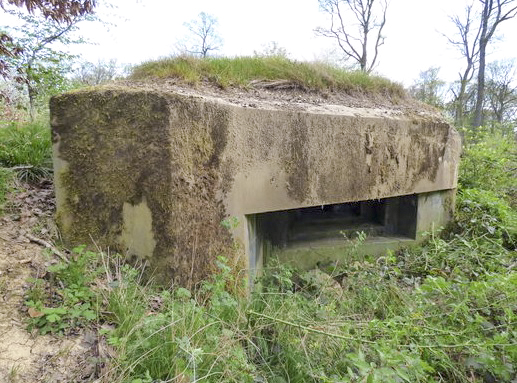 Ligne Maginot - LANING 2 - (Blockhaus pour arme infanterie) - 