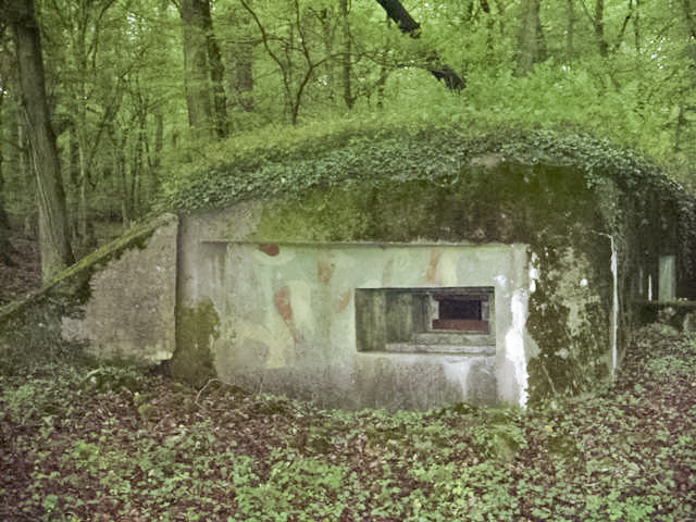 Ligne Maginot - M65B - BOIS DE BRILL 1 - (Blockhaus pour arme infanterie) - Il reste du peinture de camouflage