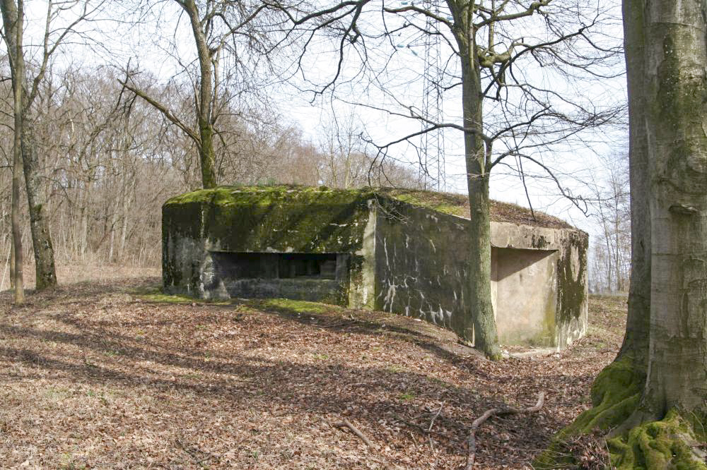 Ligne Maginot - MARIENTHAL 2 (AVANT POSTE) - (Blockhaus pour arme infanterie) - Vue d'ensemble