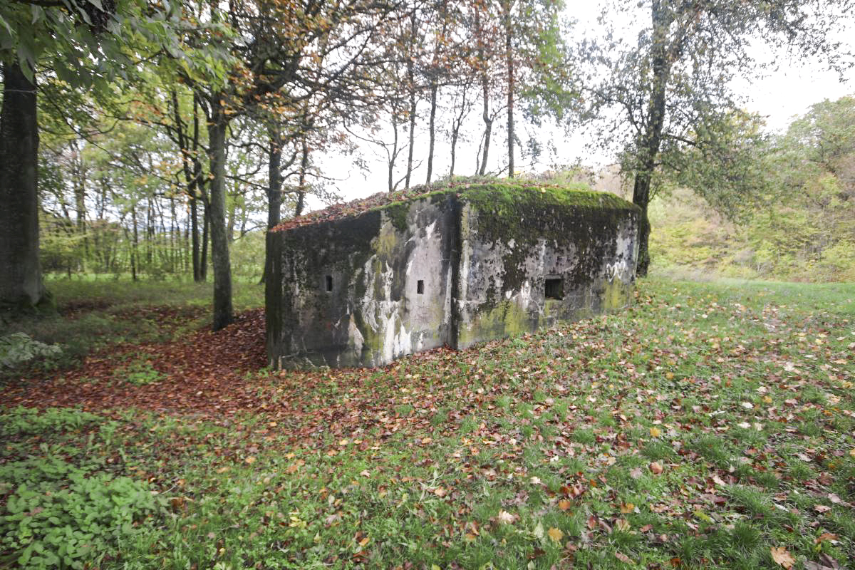 Ligne Maginot - MARIENTHAL 2 (AVANT POSTE) - (Blockhaus pour arme infanterie) -           