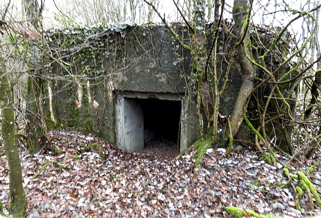 Ligne Maginot - NONNENWALD 2 - (Blockhaus pour canon) - L'entrée du matériel