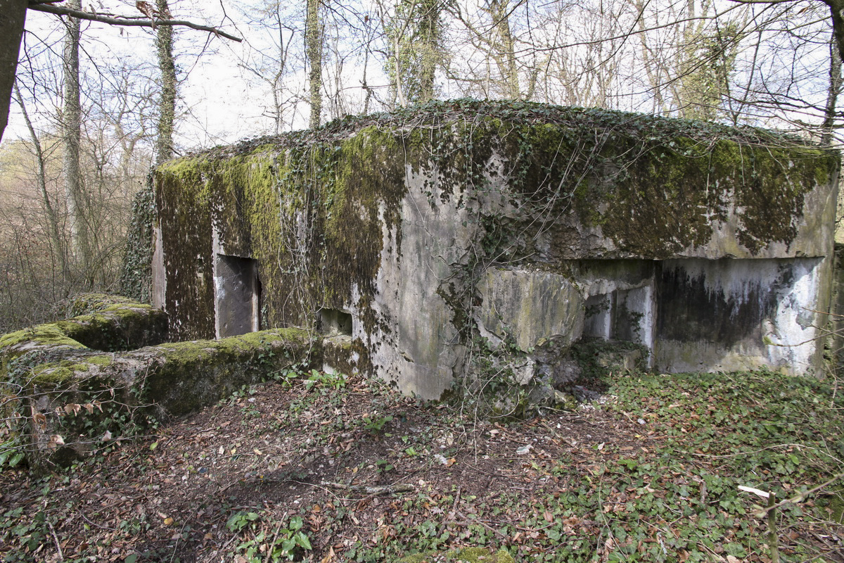 Ligne Maginot - RESERVOIR DE FREMESTROFF - (Blockhaus pour arme infanterie) - 