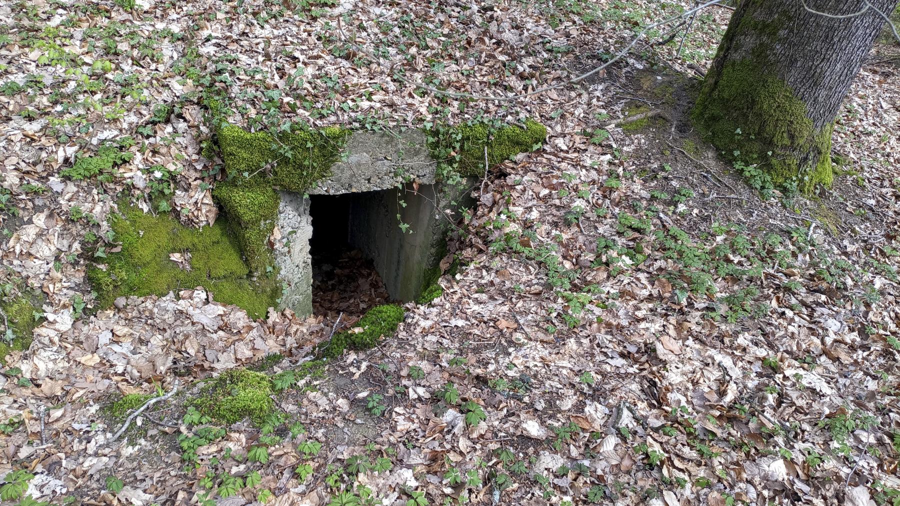 Ligne Maginot - CT26BIS - (Observatoire d'infanterie) - L'entrée