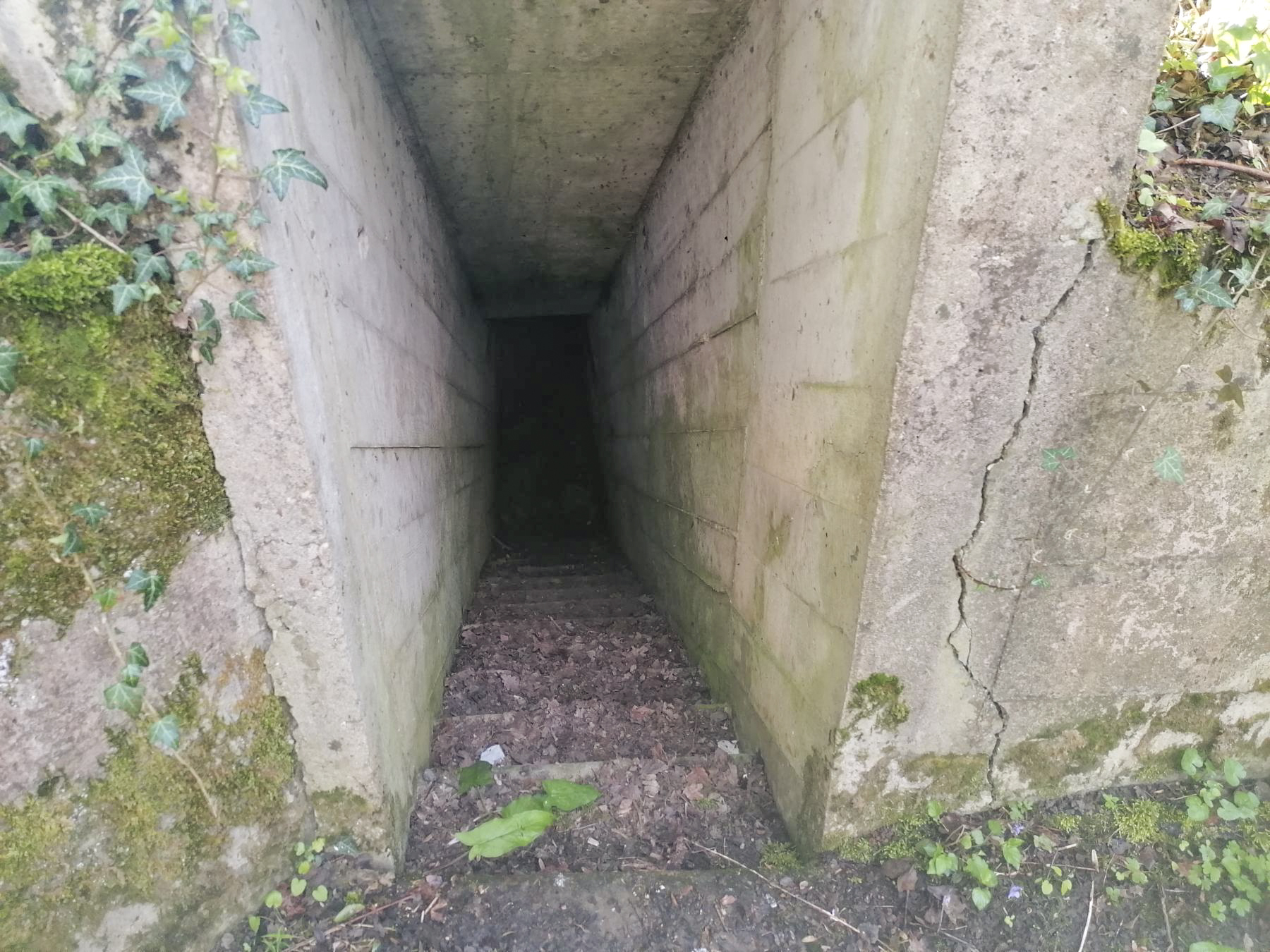 Ligne Maginot - BUCHWALD (I / 23° RARF) - (Position d'artillerie préparée) - Cuve bétonnée 3
Entrée abri